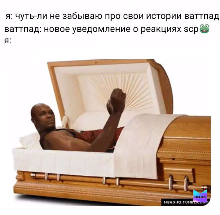 480132f76f201f133aec50975a0783ae.avif