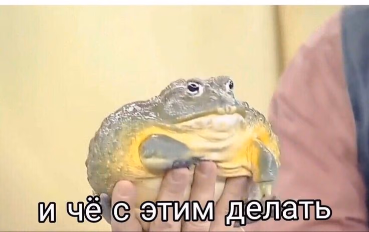 4817baafef9d9815bd0f69af3d8cca54.jpg