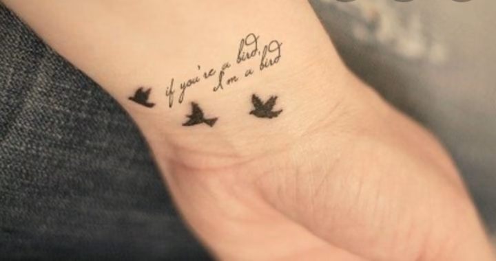 48190895c663aaf13994ae30d14794f3.avif