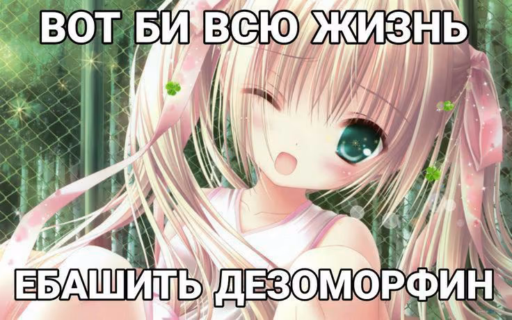 4834a487c3fa1de8b8c1603c1c523fc3.avif