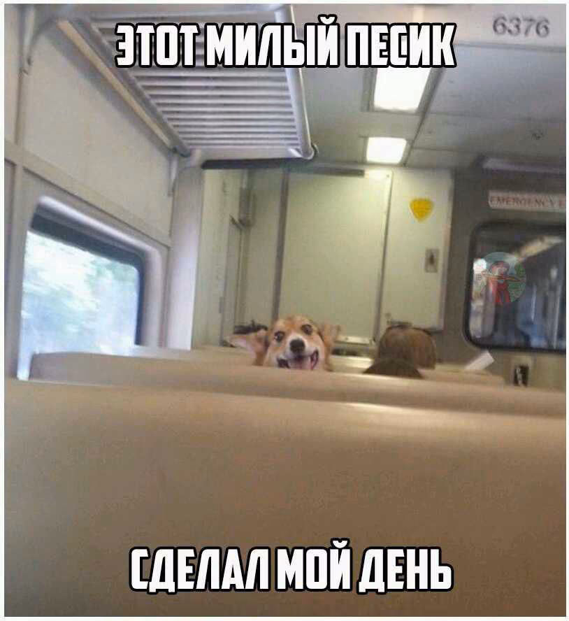485bdd88d2170337b3f5fabbf6f71199.avif