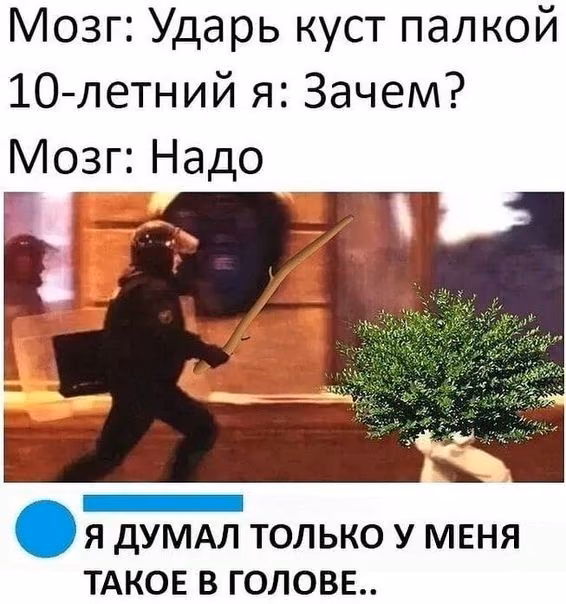 485f24041eed4ecd4decb552cb9e970f.avif