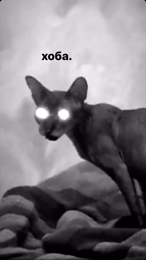 48608c08c2d973e7c12a920773724d44.jpg