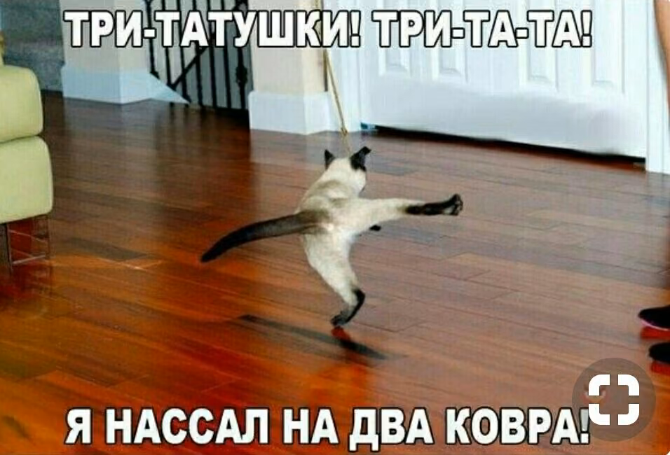 48667537361ec4f57d46b14c5c310c72.jpg