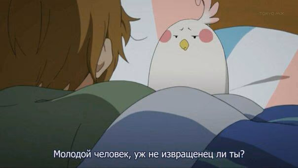 486b1e0d8a3a20caef292156854cb1b0.jpg