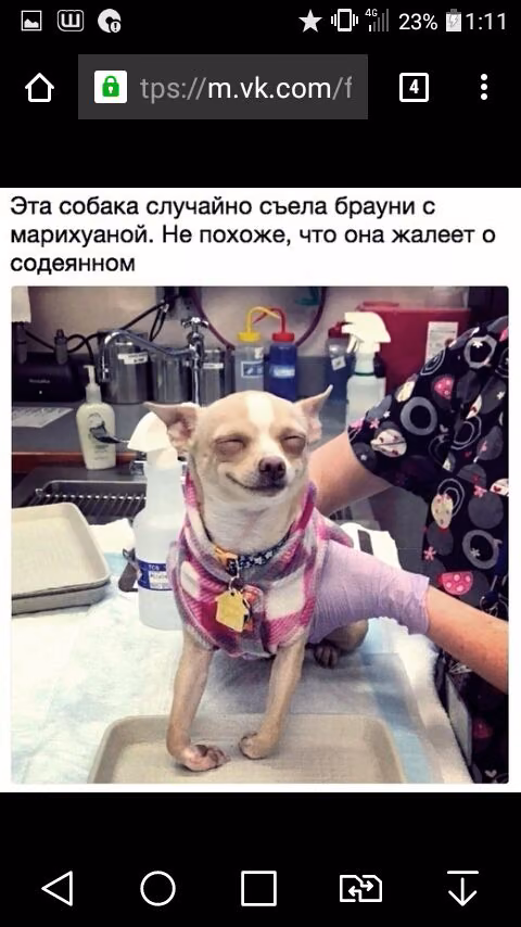 4870809878451a22f71cb09ff59b2c6b.jpg