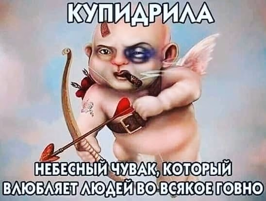 48983b02c0eaf30a9aeb1573d8624daf.avif