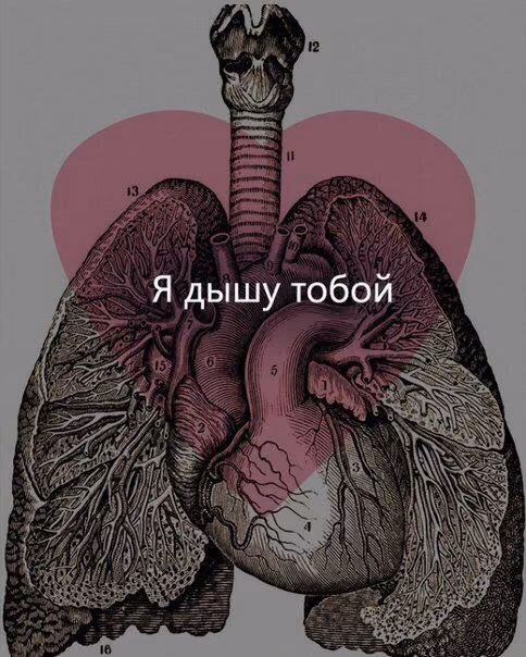 489840163383c237a6f4caf421f4c640.jpg