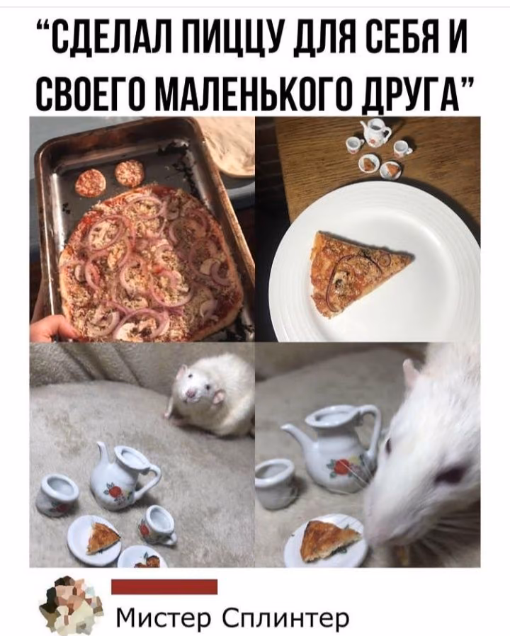 48a6f311f655a75dd1e9b569e880ecc4.avif