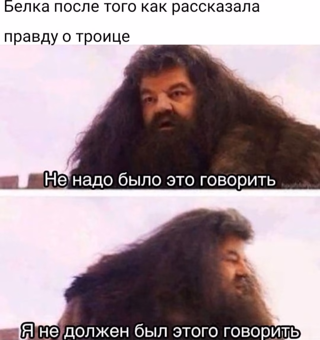 48b406d87260a49ded3c76cef803535f.avif