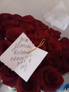 48c0e15c4bd5c35bb83b16e7da0375dd.avif