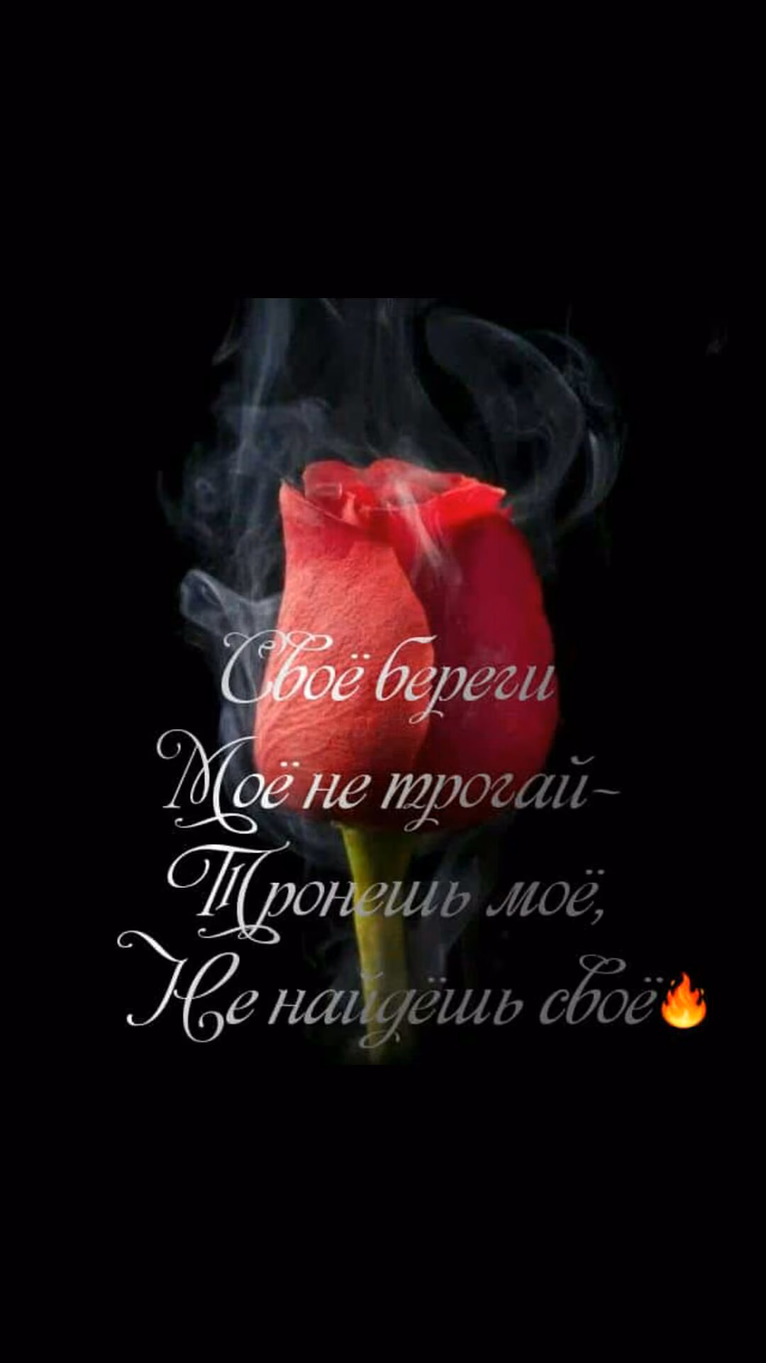 48c64280a7ea401736e72d362bd13099.jpg