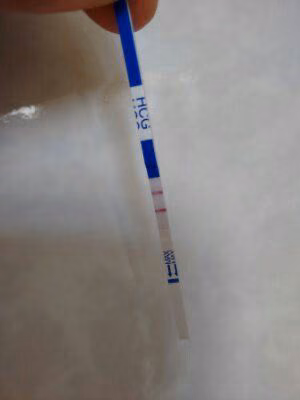 48d9fe31300feeaa9efcc47ac4674b91.avif