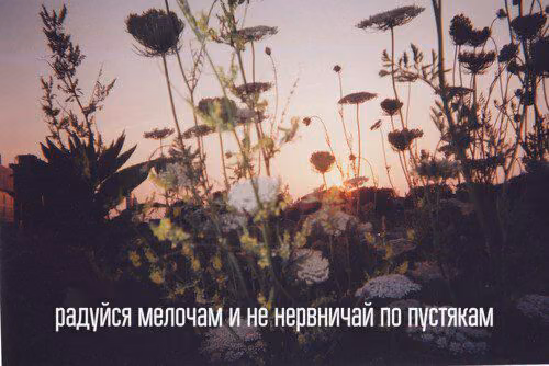 48da6fafa60ba6d454df73056efd3130.avif