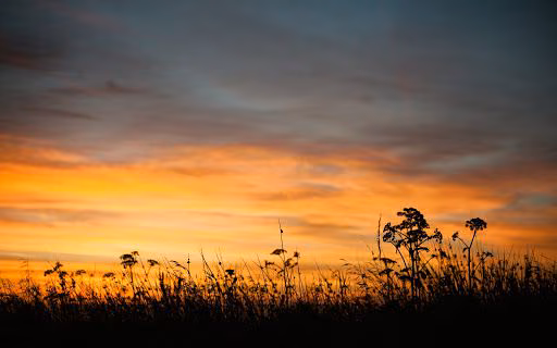 48ef6c411f3988bb00e0e9c8f1a19ee9.avif