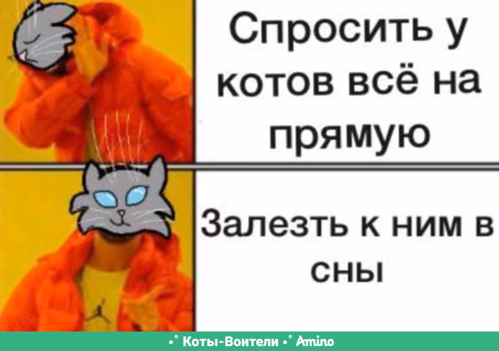 490034a8da6b45d99e68463818d028d5.avif