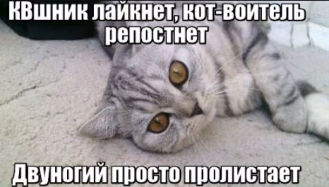 490297dae3380ba0adafbd3ec3e9949d.avif