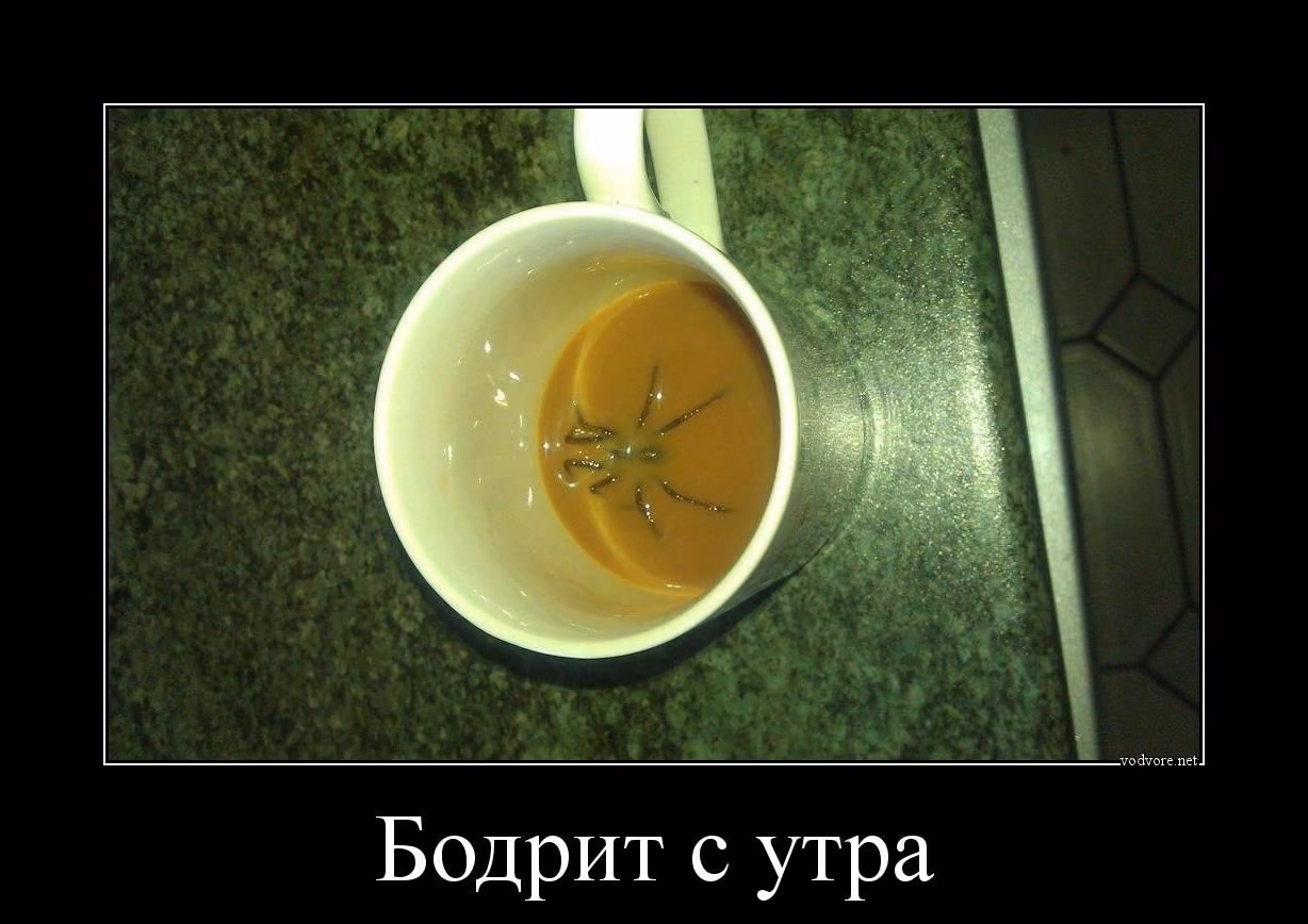 490e31eb958f86f93b3de405b9dfbf89.avif