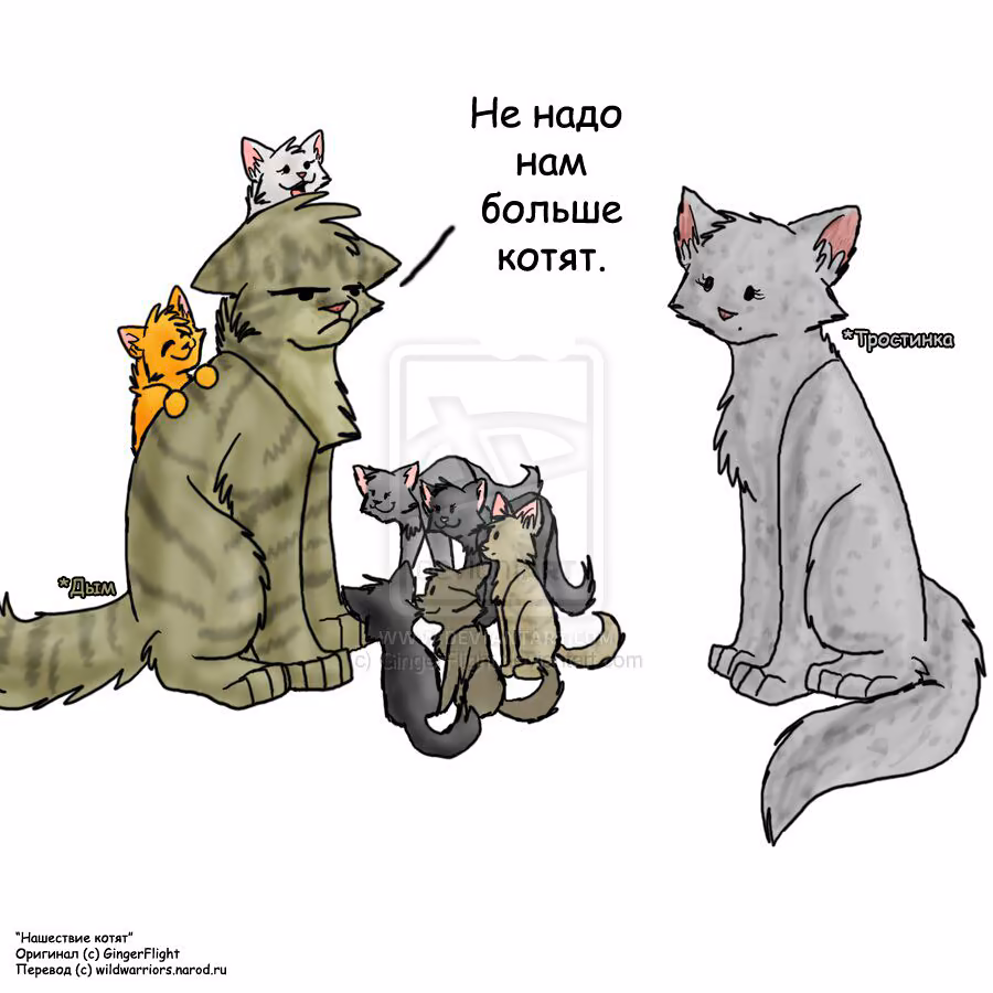 492c0dcc4fbca37a0ba59697b2ced9df.jpg