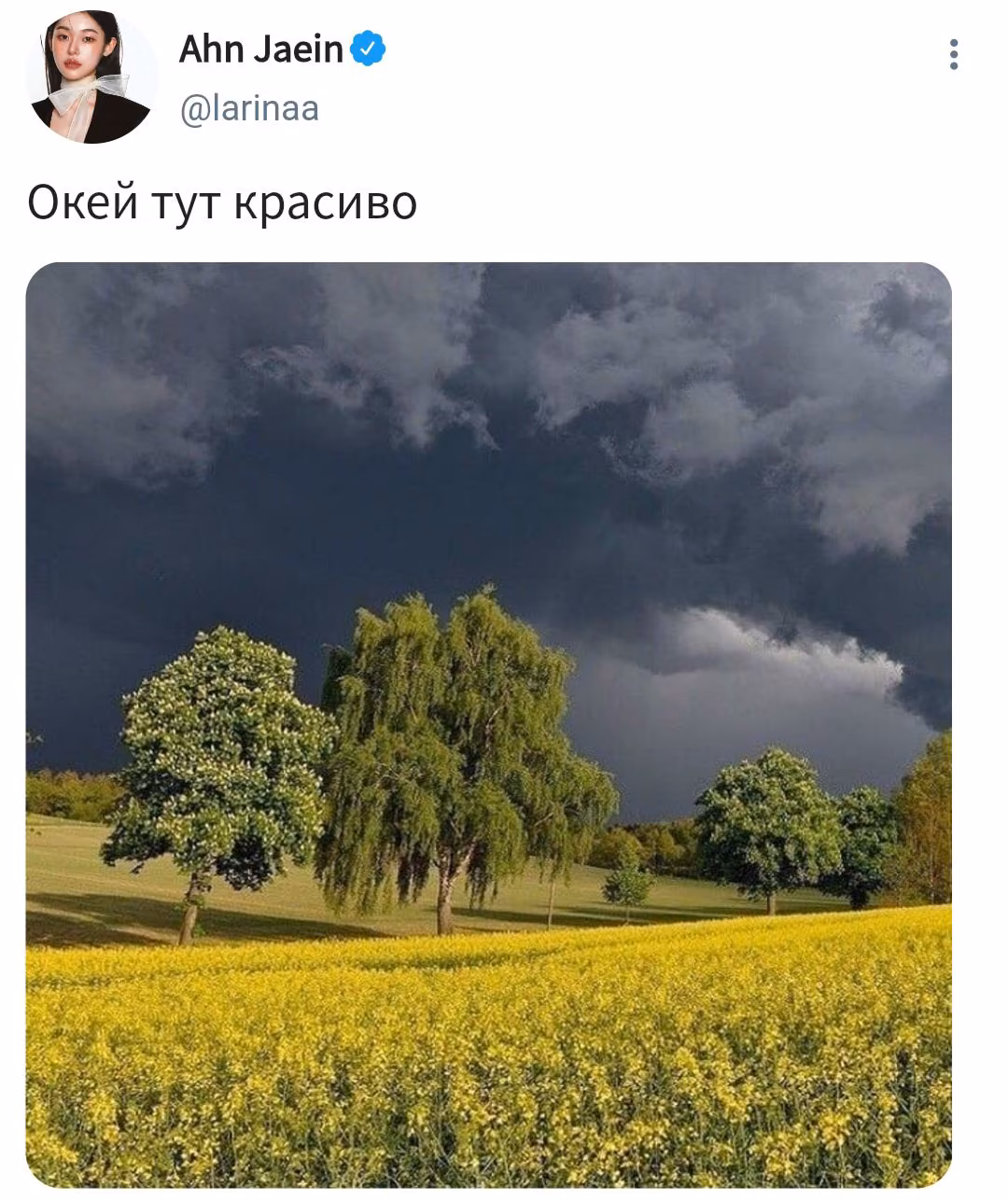 493f43a9334c38084fcf89104564b5b7.avif