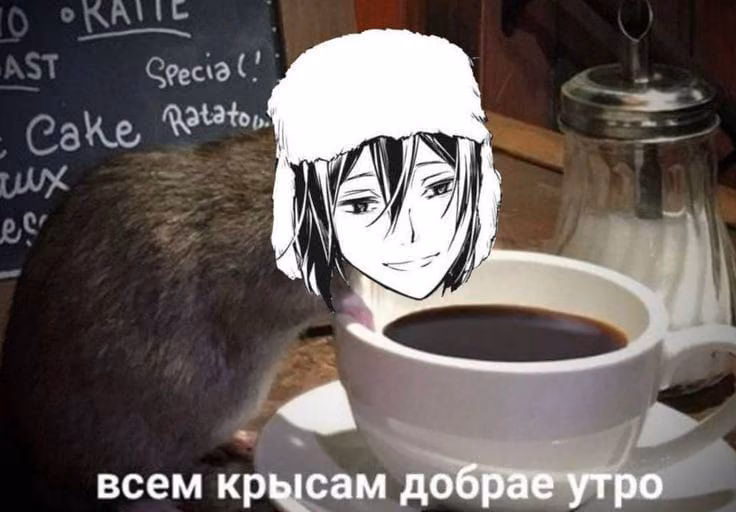 4955624f0b473addf082269764371a5c.jpg