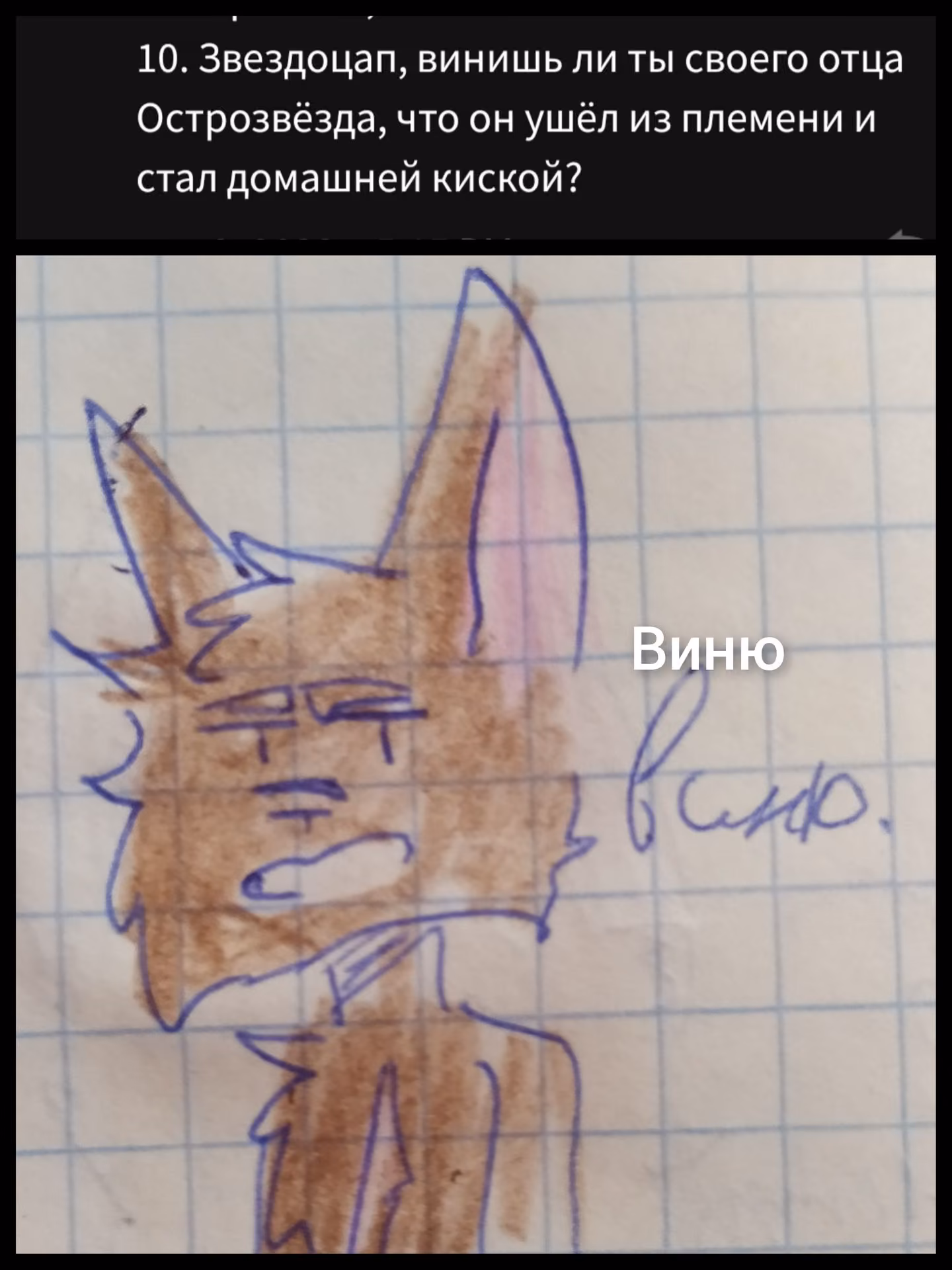 4974bb9f161f8c9162672b4465cd1334.avif