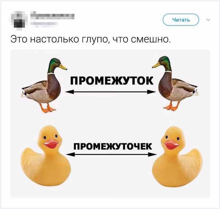 497c071448f1689068dac931318af281.avif