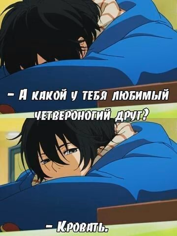 4980fe25afb312888421b09690ba271a.jpg