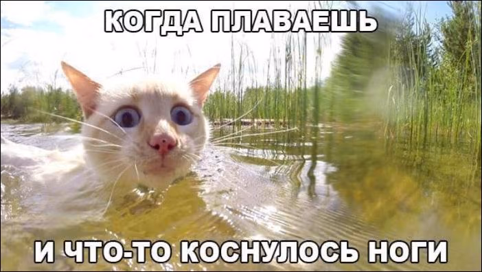 498631774a2fc1a8680a87572e5e5e6d.jpg