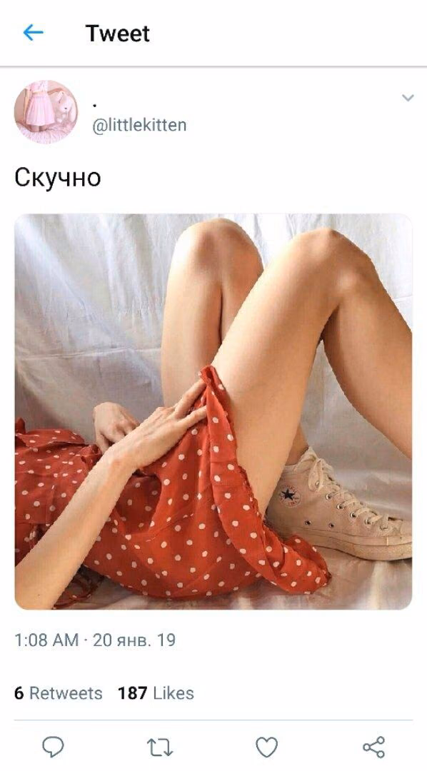 499b4477e3a99692ca6027cf5d17caf1.jpg