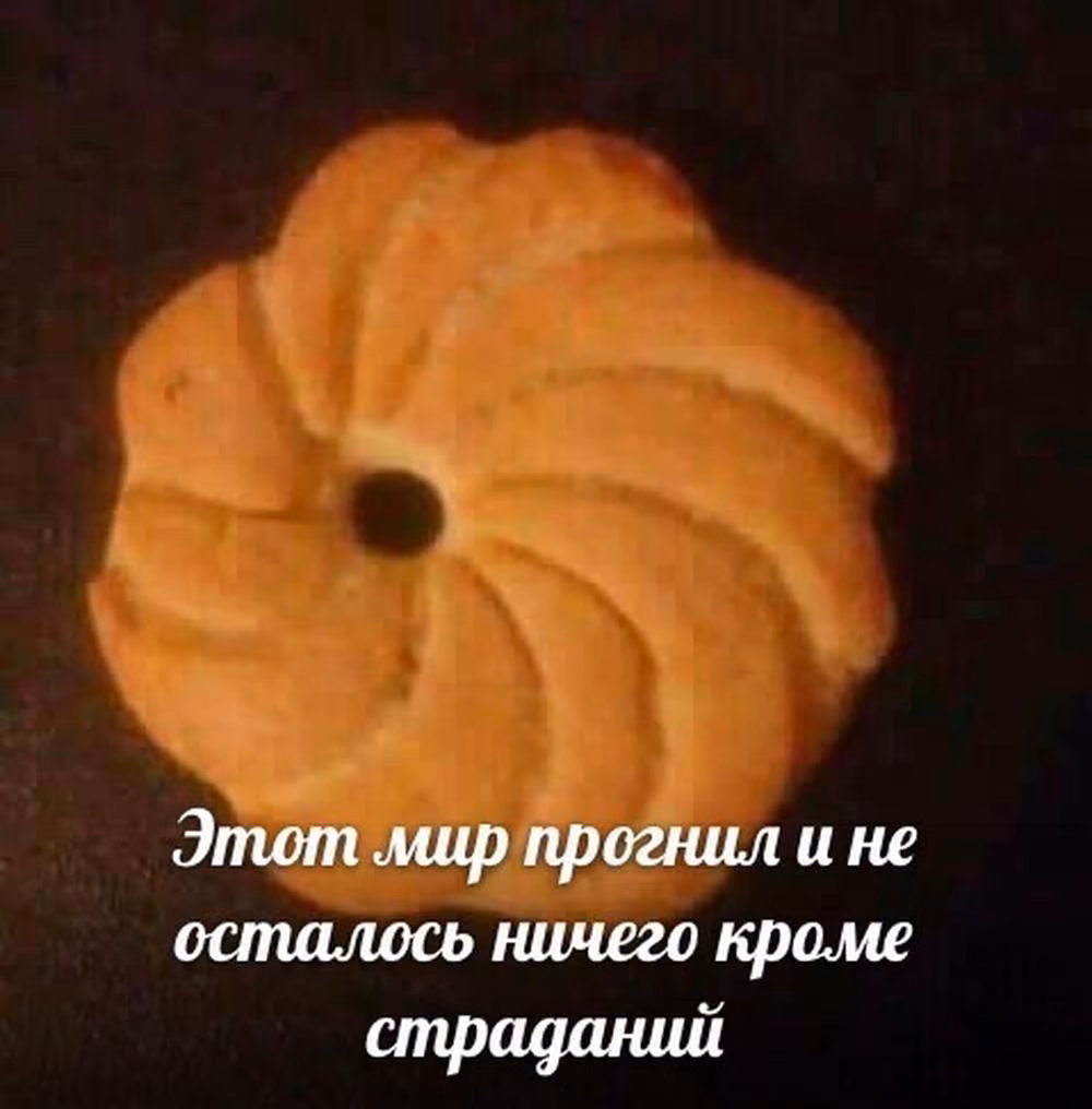 49a333a6173e62e255c77d8c623c2b69.avif