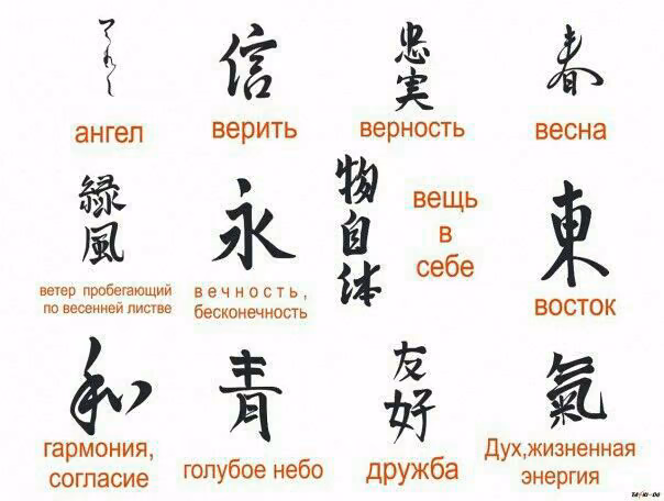 49a5f8793294e2d182e83946992967a9.avif