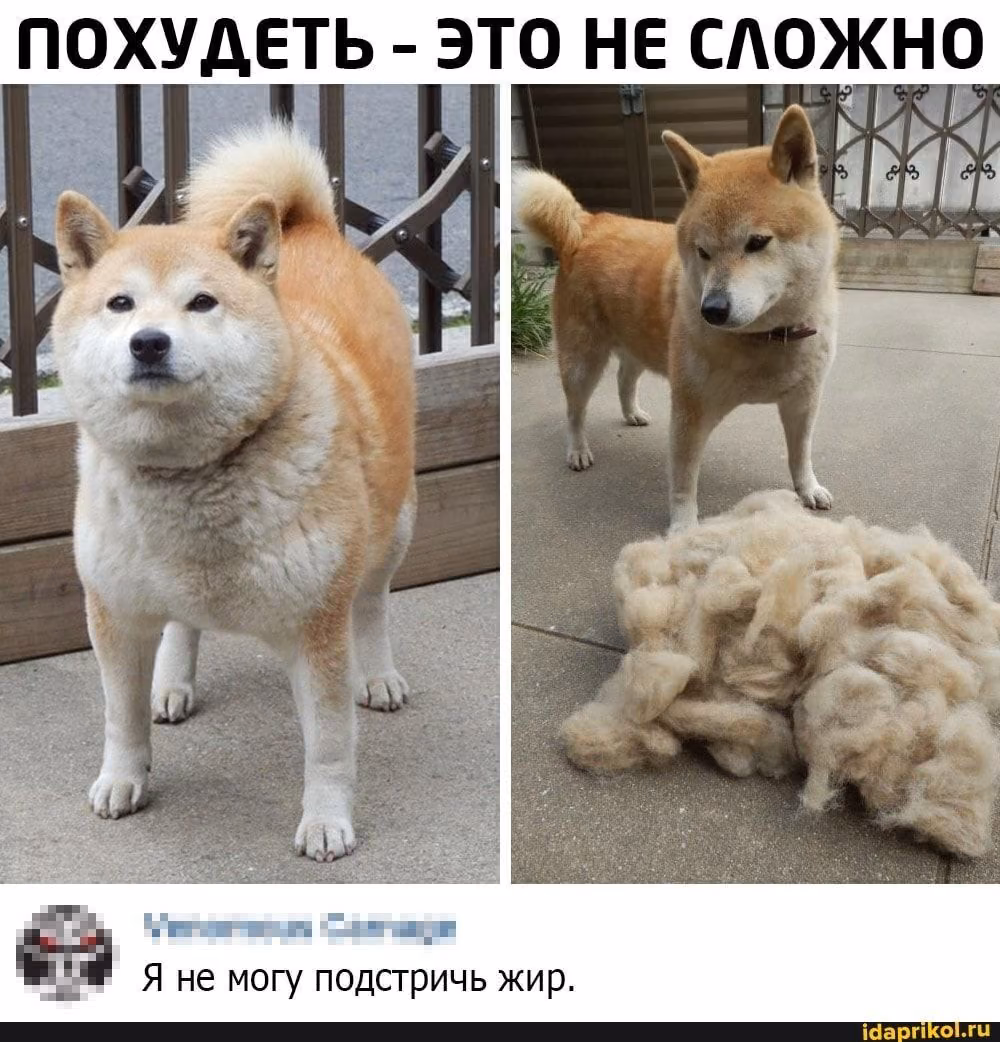49ab2baac8488f1d7e7a294f335e88a6.jpg