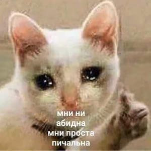 49adf1942a12e53b2fe967f08048664e.avif