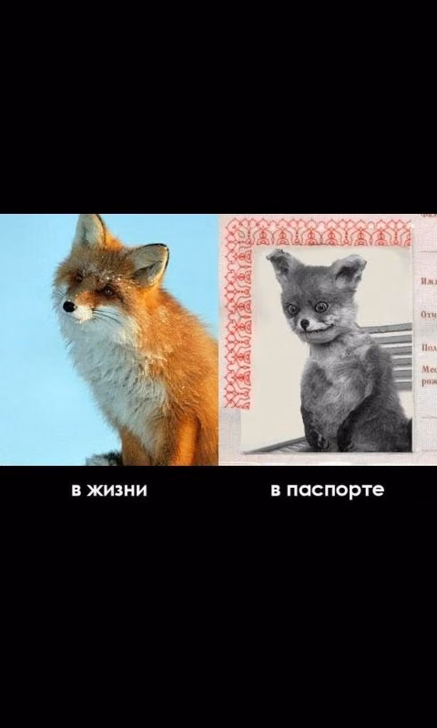 49b0dc08d6873644e47eedf4c203d12d.avif