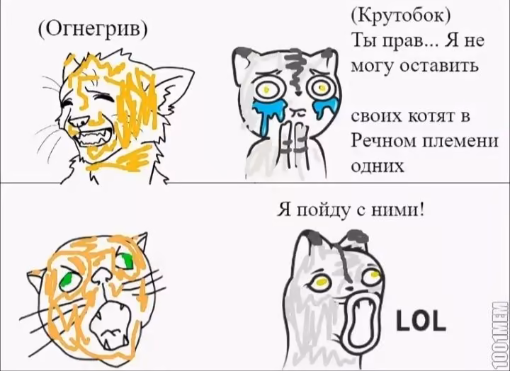 49bb316d940480a0d4c90fbe7cca4ecf.avif