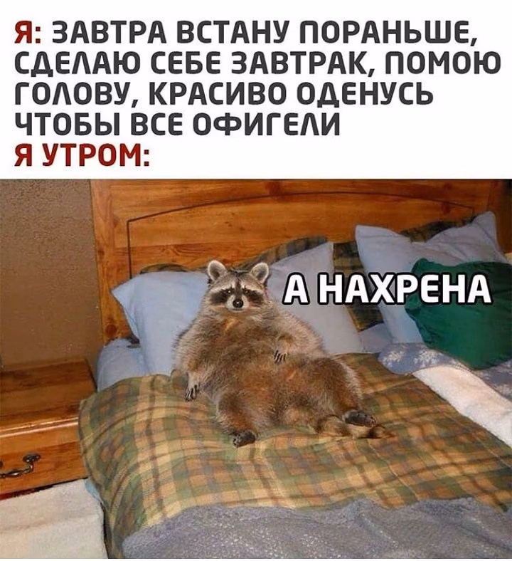 49bead6c5451ef1f7ad8684e2e355ccf.avif