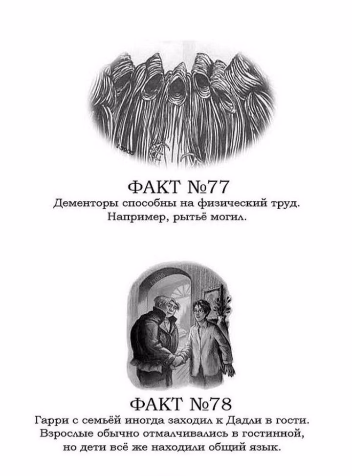 49bf1d286800b8d423ffa13668d81373.avif