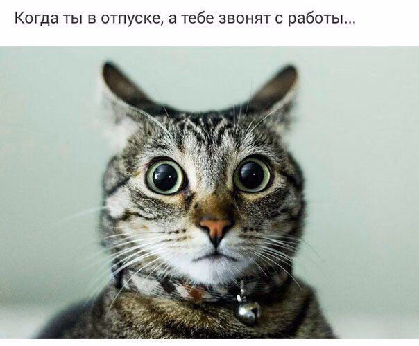 49d552ac4ed8c20bba57d918c8b72faf.avif
