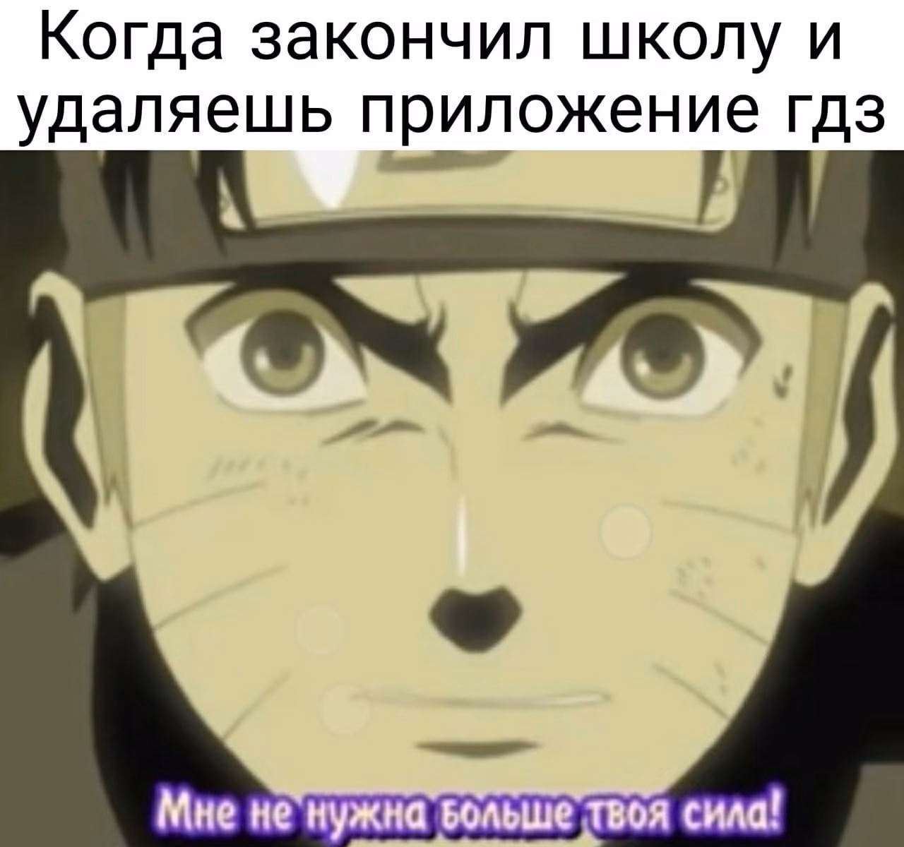 49f42d76f3f3c6ded2b5c36fe593e82d.jpg