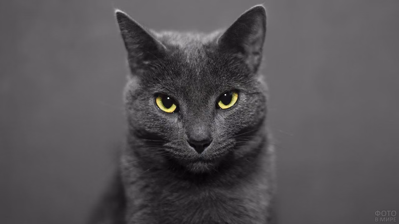 49fa4cf4dfaaf7a49096f50049f7184b.jpg
