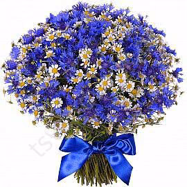 49fbe4386abbcdad0de6980cad06d80b.avif