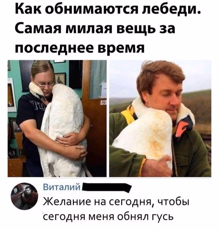 4a1a0ab0e9c511bb75c9d4a30dcb7ba5.avif