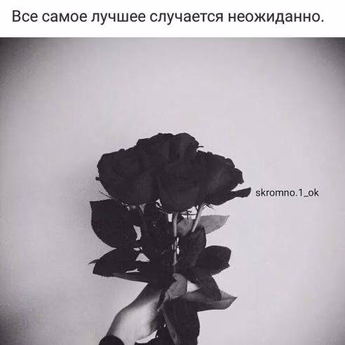 4a1b5a3f08a73714ea8e007f4600fbc7.avif
