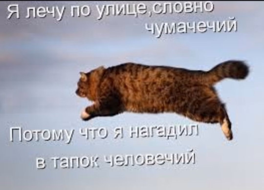 4a20541e0ae73299bc9b8c736c94d389.avif