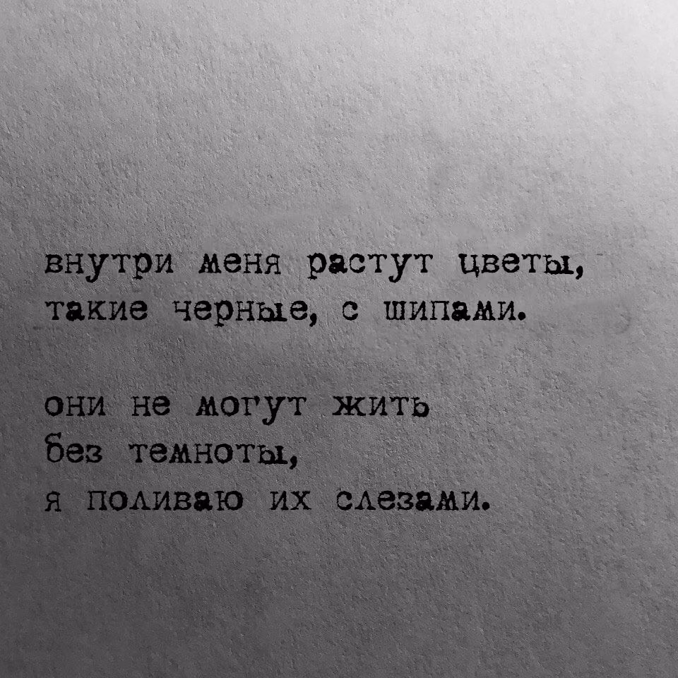 4a24bc046c22c903e20092c733d58952.avif