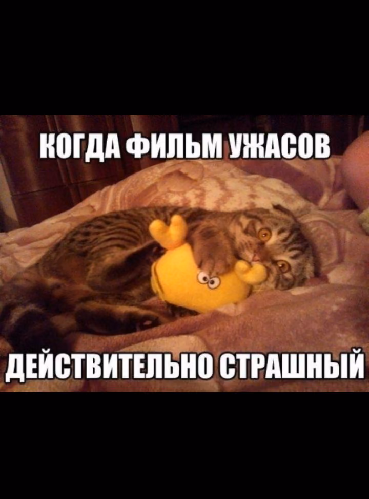 4a3b17a86605ff12f9b21bc6f0efa496.jpg