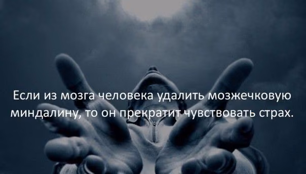 4a3d2347120a69d9aa06b0ea76d857d8.jpg