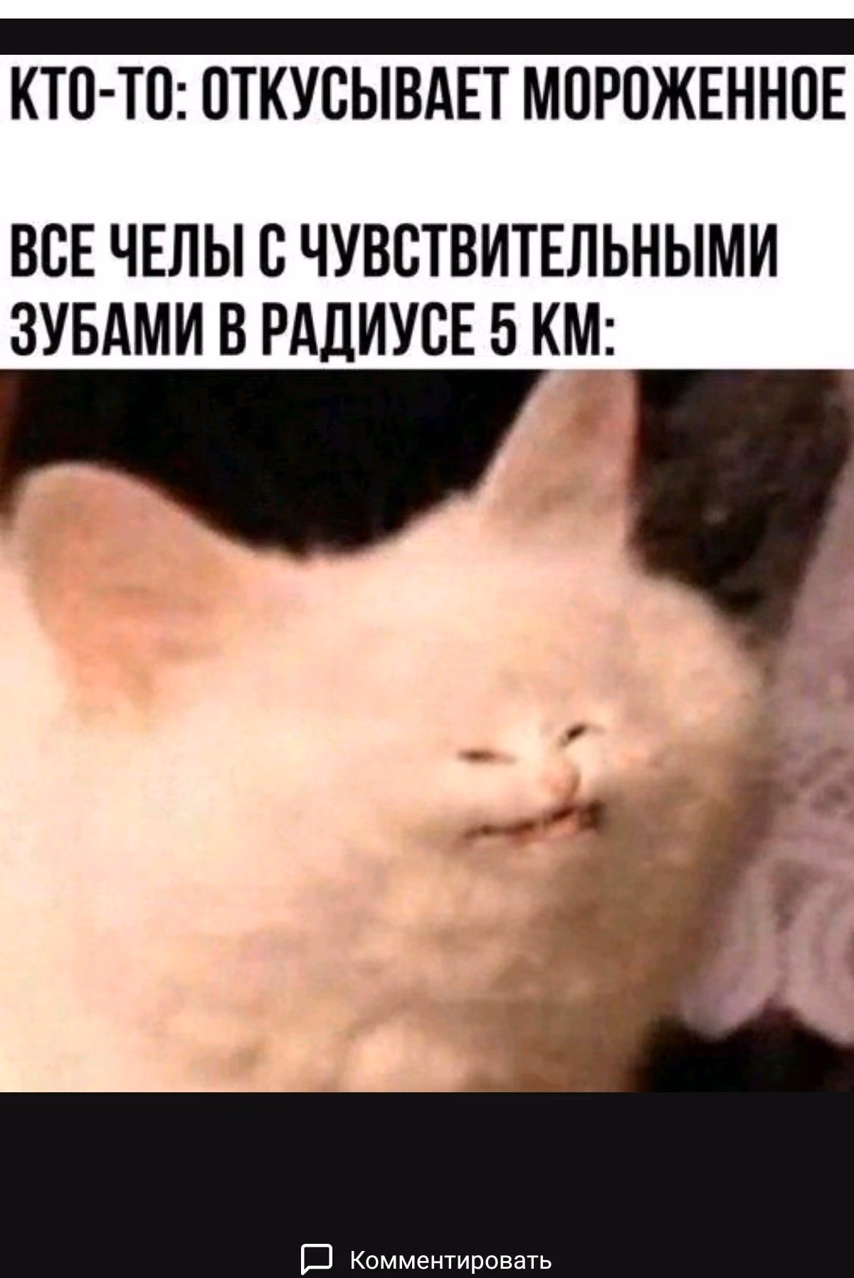 4a3d342eff93295c9c75cce3e2f61b11.avif