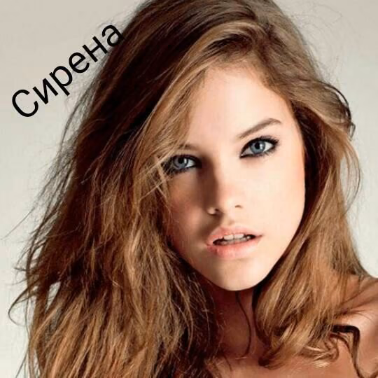 4a3dae31aeff050de2273205d2cf2125.jpg